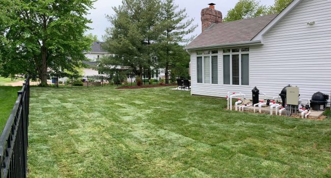 st louis sod installation